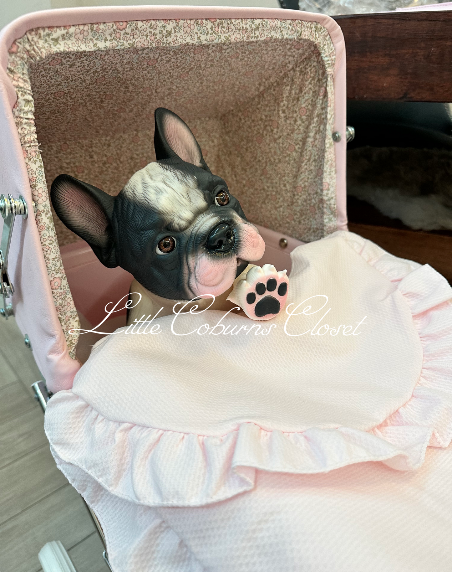 Patch French Bulldog Puppy