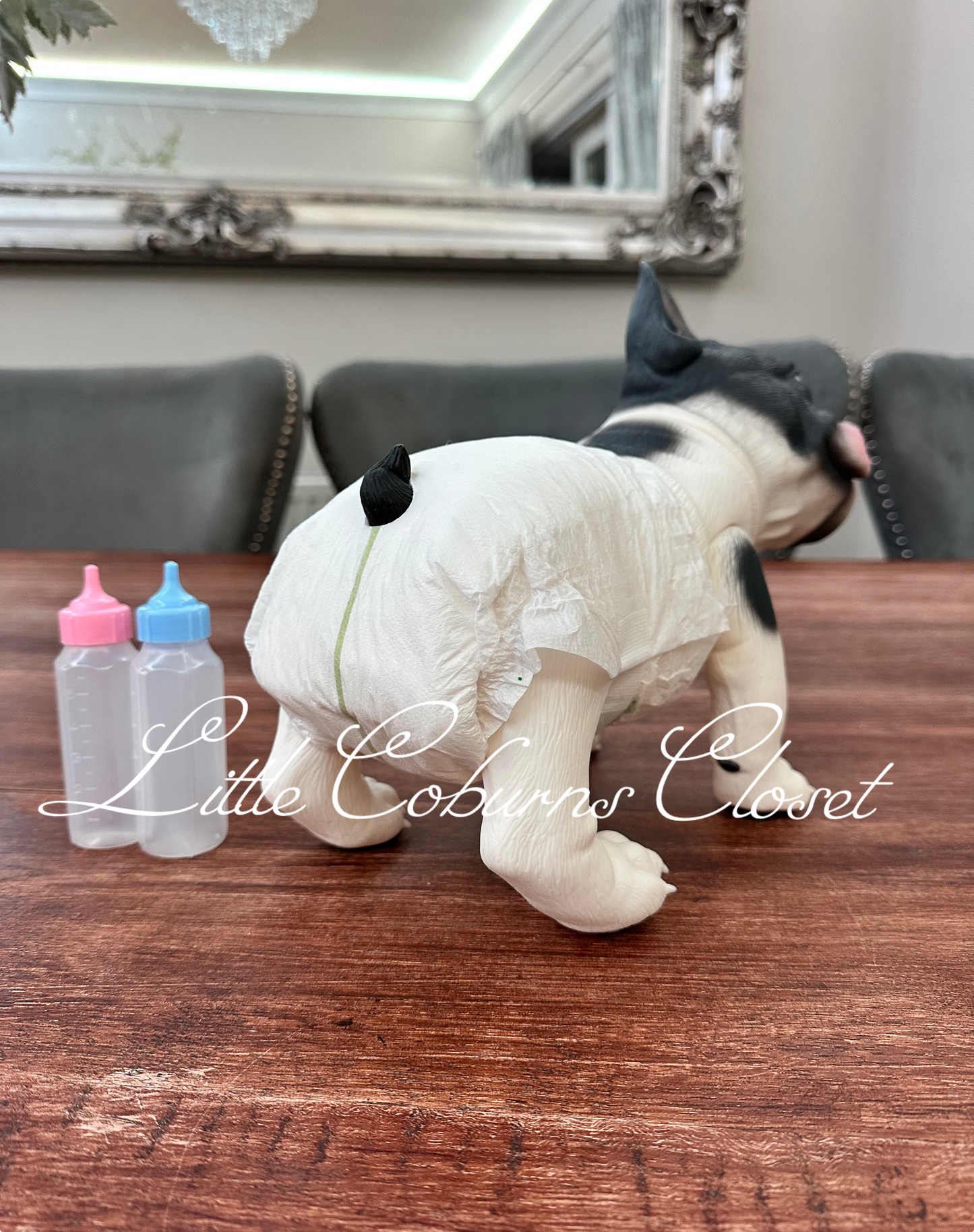 Patch French Bulldog Puppy